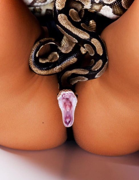 Parece lo que no es...